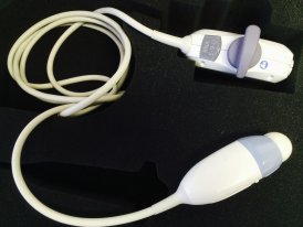 SONDE GE RNA5-9D